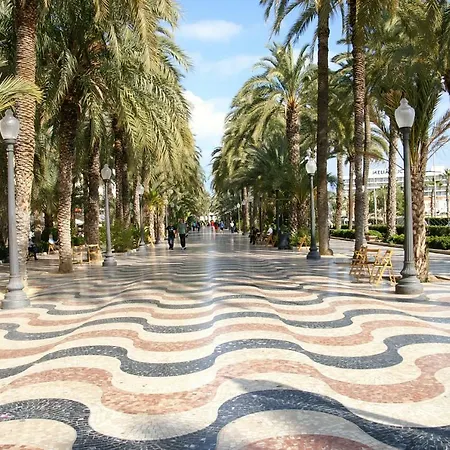 Microclimate Center * Alicante