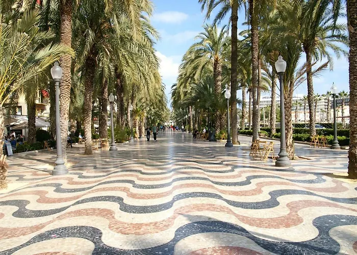 Microclimate Center * Alicante